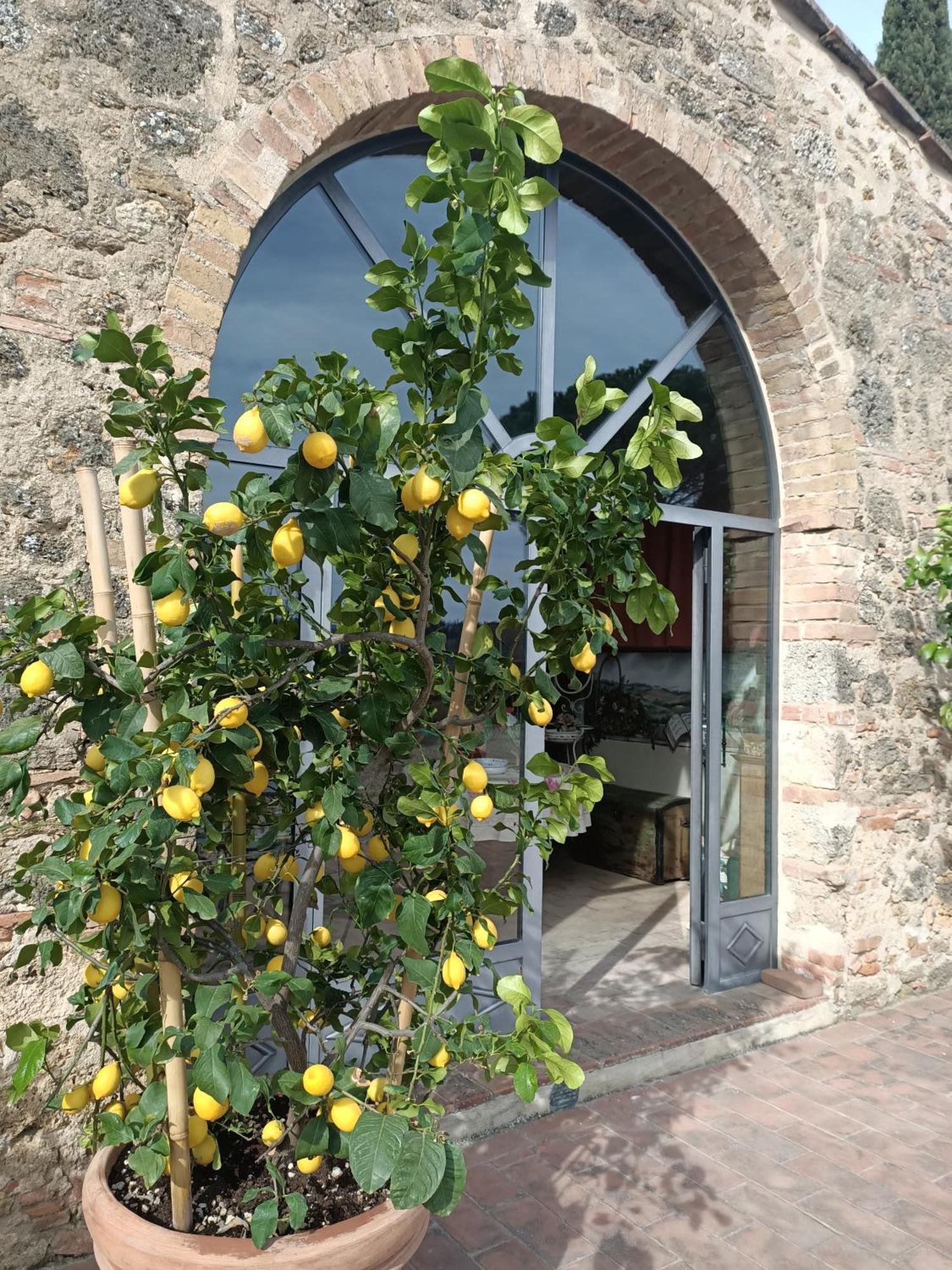 Relais Antico Borgo San Lorenzo Поджибонси Экстерьер фото